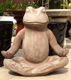 Zen Meditating Frog